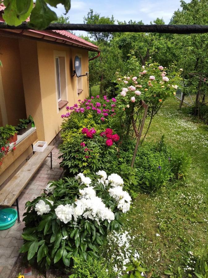 Apartament W Domu Na Wsi Tomaszów Lubelski Exterior foto