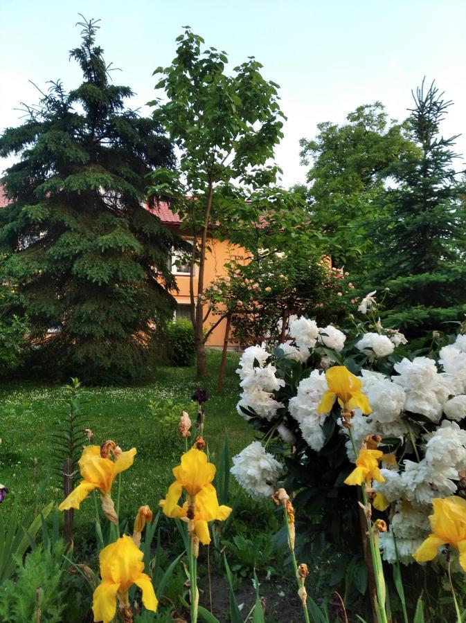 Apartament W Domu Na Wsi Tomaszów Lubelski Exterior foto